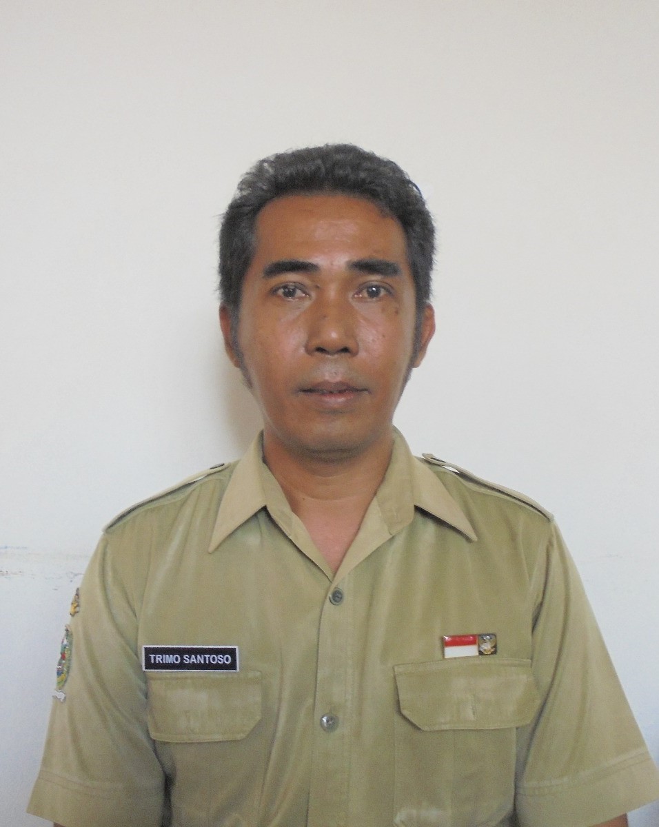 Trimo Santoso